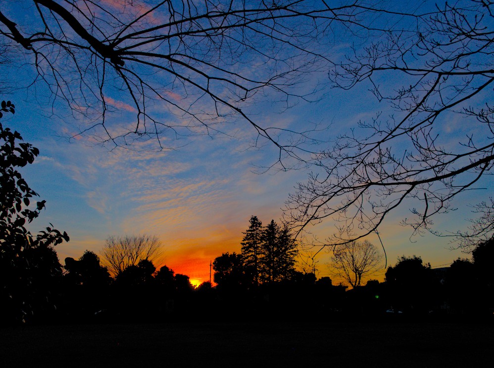 f:id:computer_philosopher:20210228221602j:plain