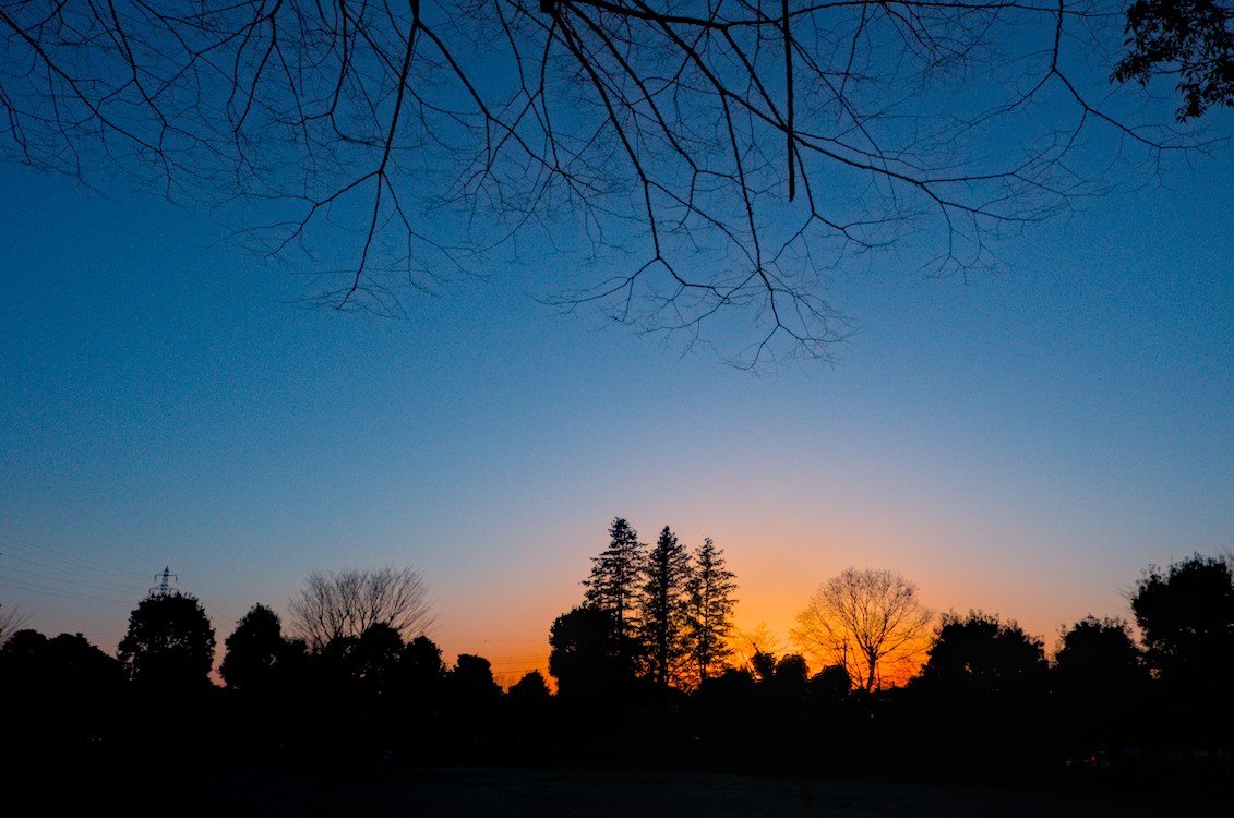 f:id:computer_philosopher:20210228221817j:plain