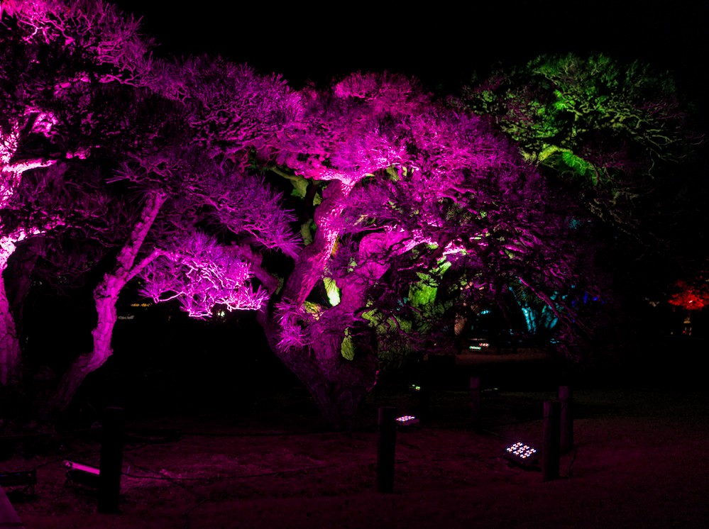 f:id:computer_philosopher:20210302193021j:plain