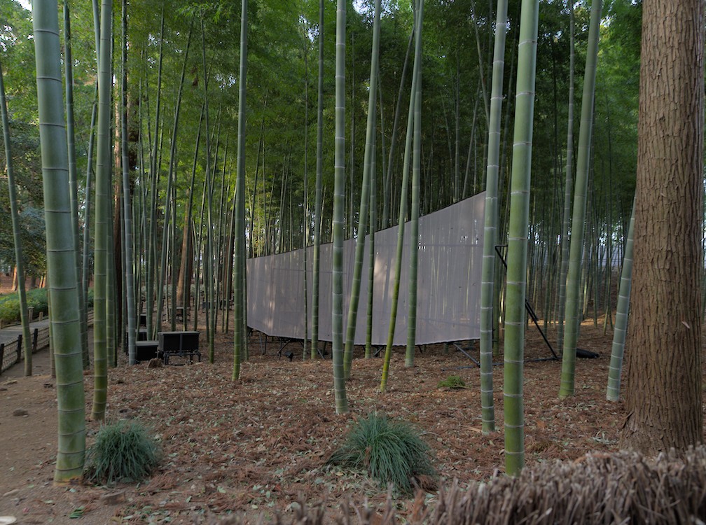 f:id:computer_philosopher:20210302193306j:plain