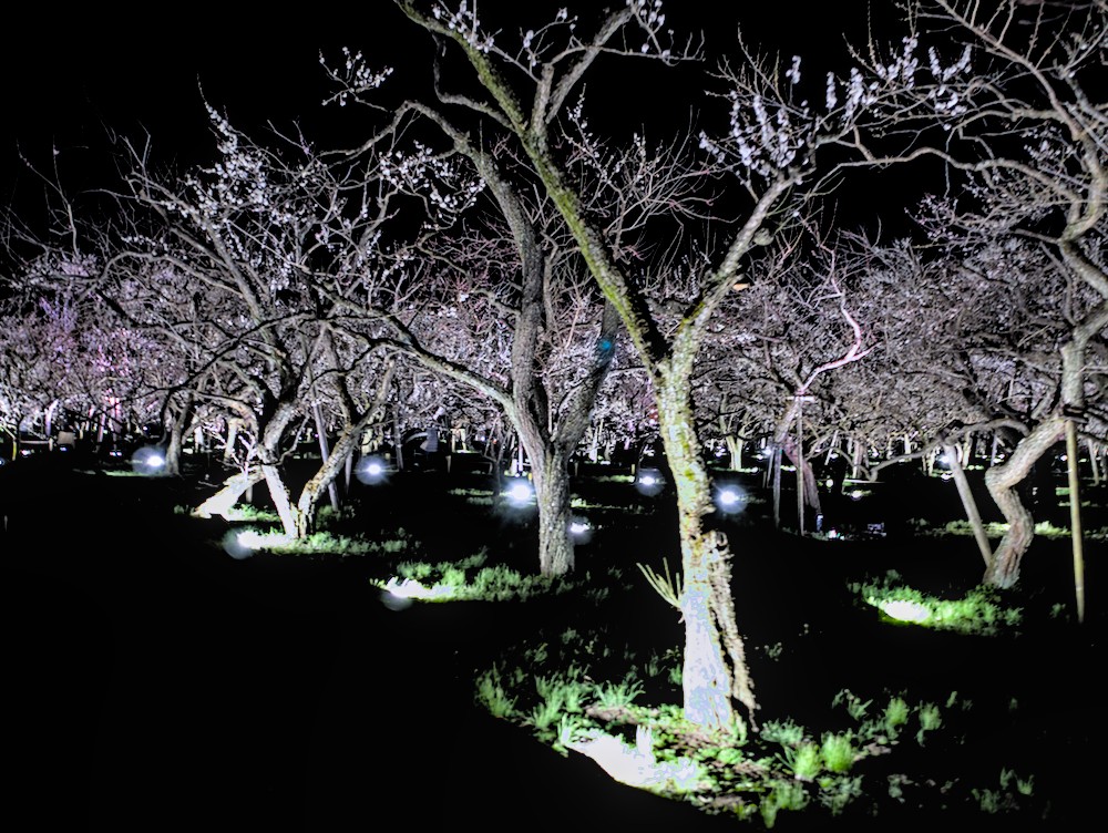 f:id:computer_philosopher:20210302193427j:plain