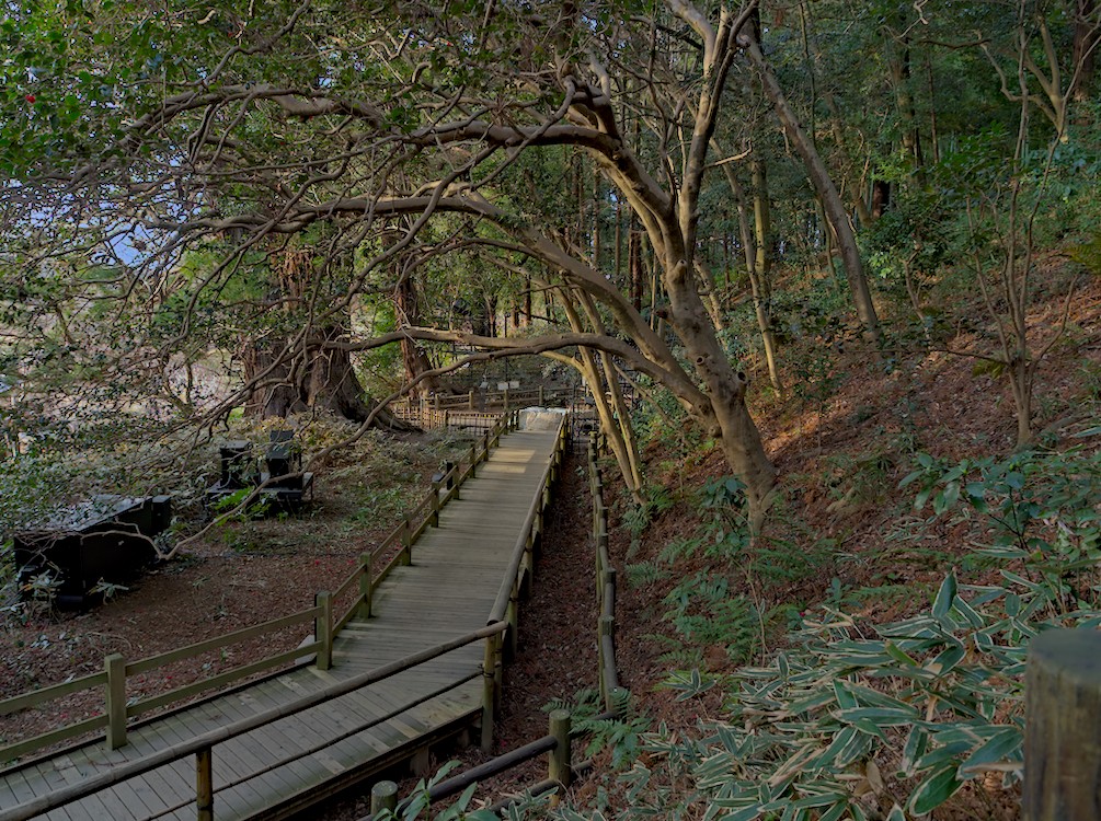 f:id:computer_philosopher:20210302193446j:plain