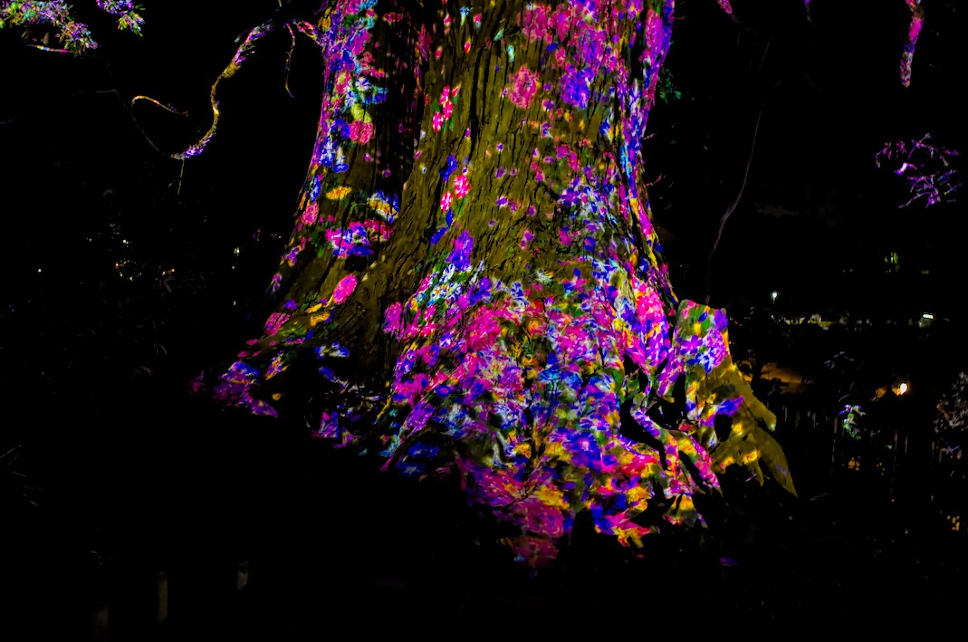 f:id:computer_philosopher:20210303183627j:plain