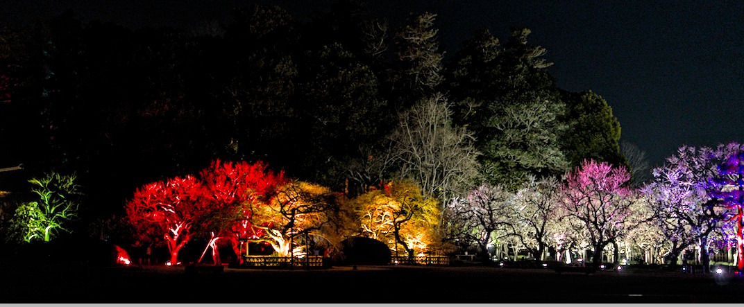 f:id:computer_philosopher:20210304220004j:plain