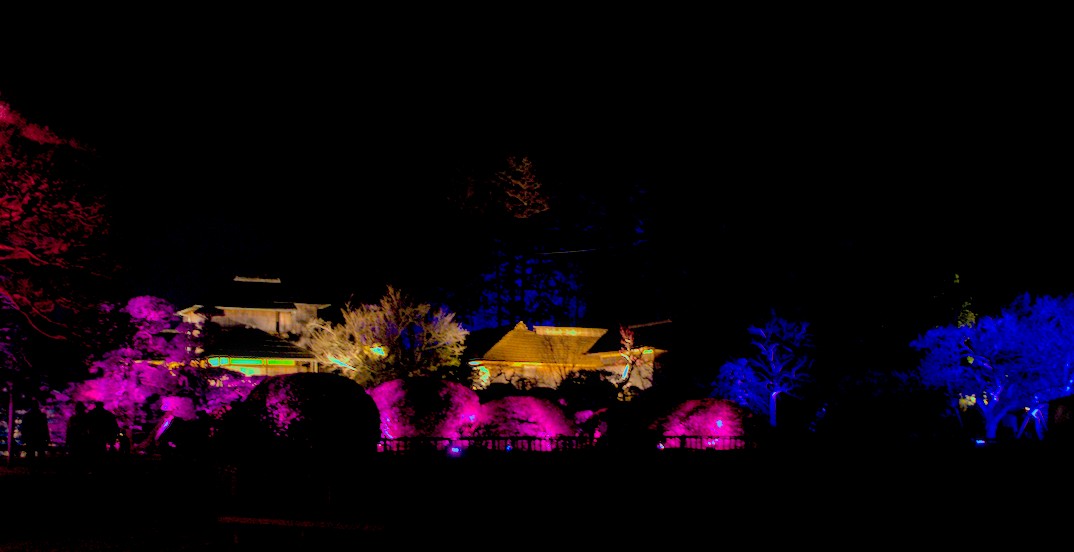 f:id:computer_philosopher:20210304220206j:plain