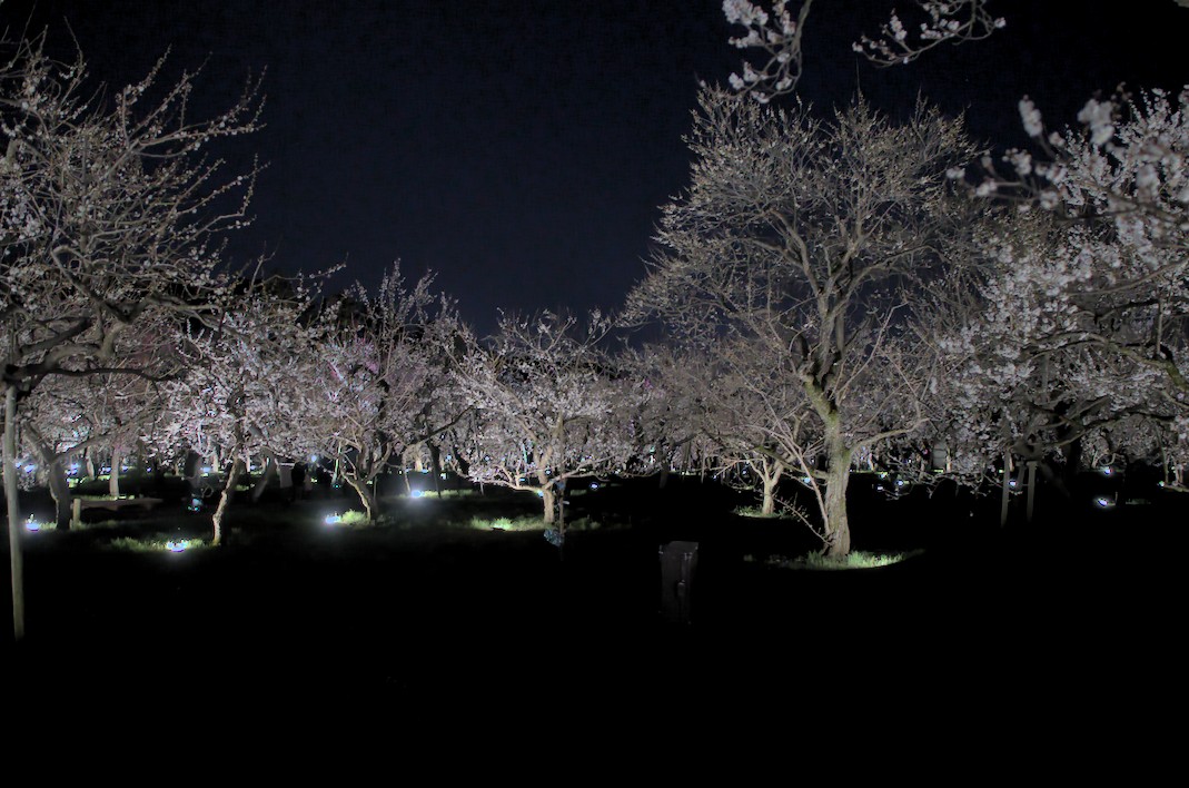 f:id:computer_philosopher:20210304220630j:plain