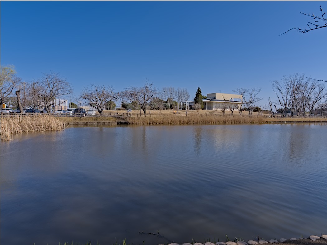 f:id:computer_philosopher:20210316110700j:plain