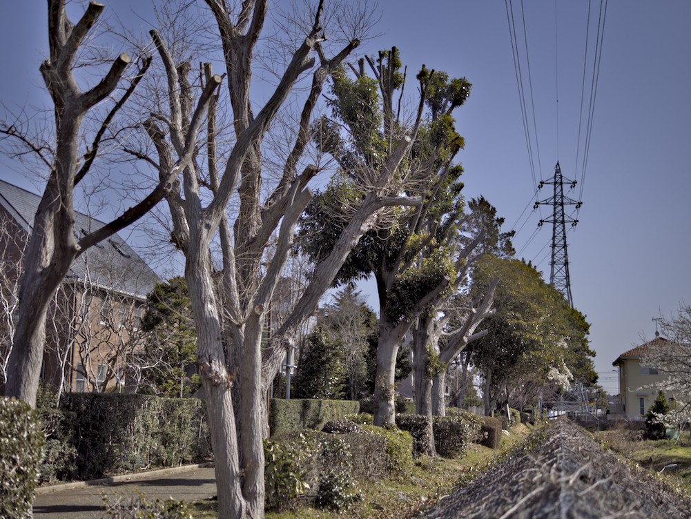 f:id:computer_philosopher:20210318203505j:plain