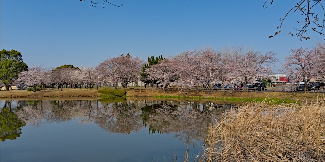 f:id:computer_philosopher:20210326213252j:plain