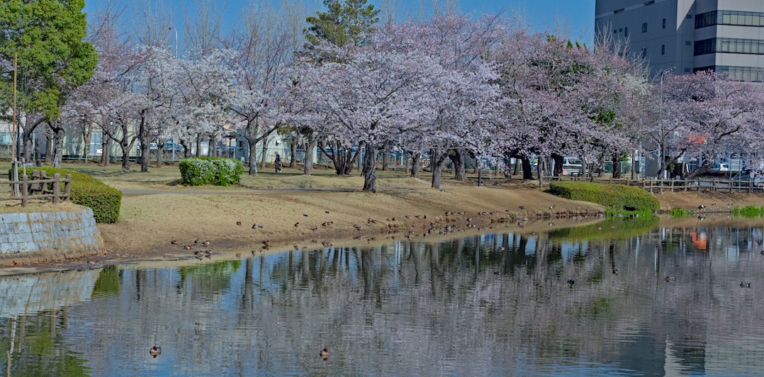 f:id:computer_philosopher:20210326213313j:plain