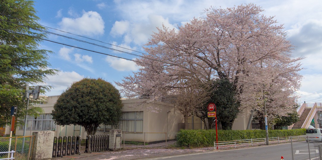 f:id:computer_philosopher:20210329200208j:plain