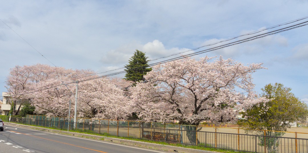 f:id:computer_philosopher:20210329200230j:plain