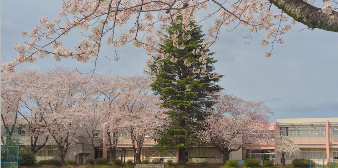 f:id:computer_philosopher:20210329200310j:plain