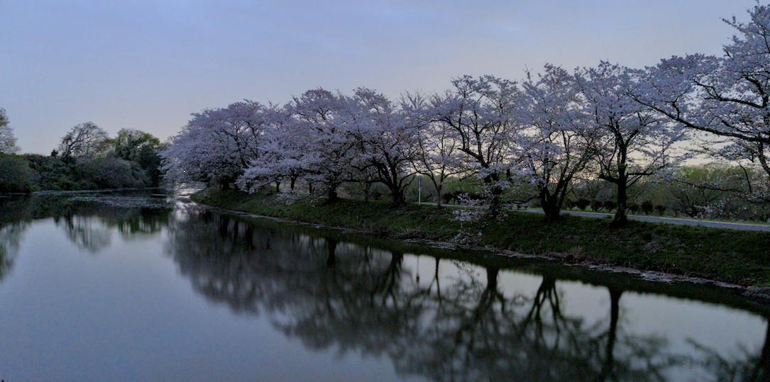 f:id:computer_philosopher:20210402112136j:plain