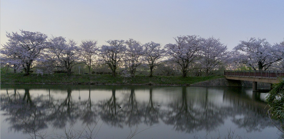 f:id:computer_philosopher:20210402112153j:plain