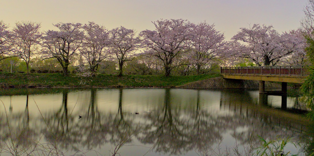 f:id:computer_philosopher:20210402112210j:plain