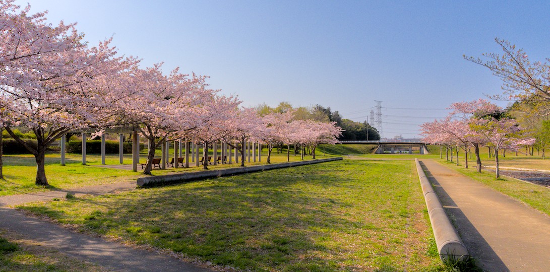 f:id:computer_philosopher:20210413220317j:plain