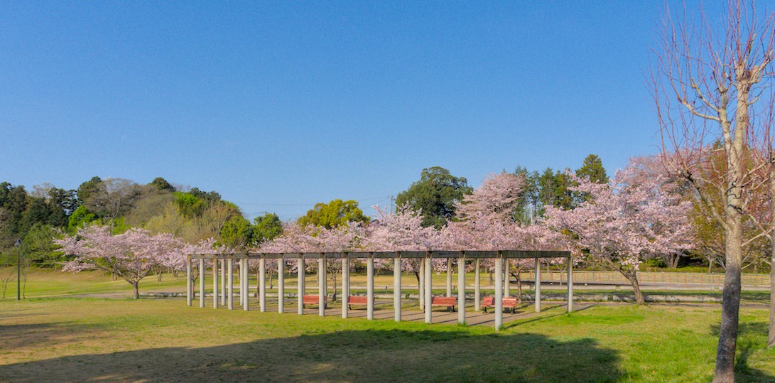 f:id:computer_philosopher:20210413220351j:plain