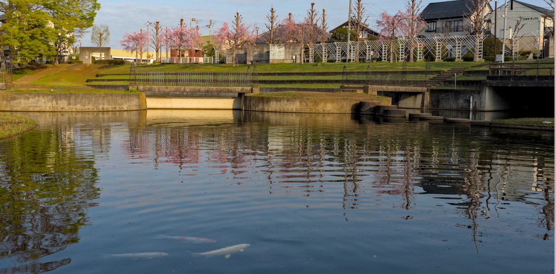 f:id:computer_philosopher:20210415215611j:plain