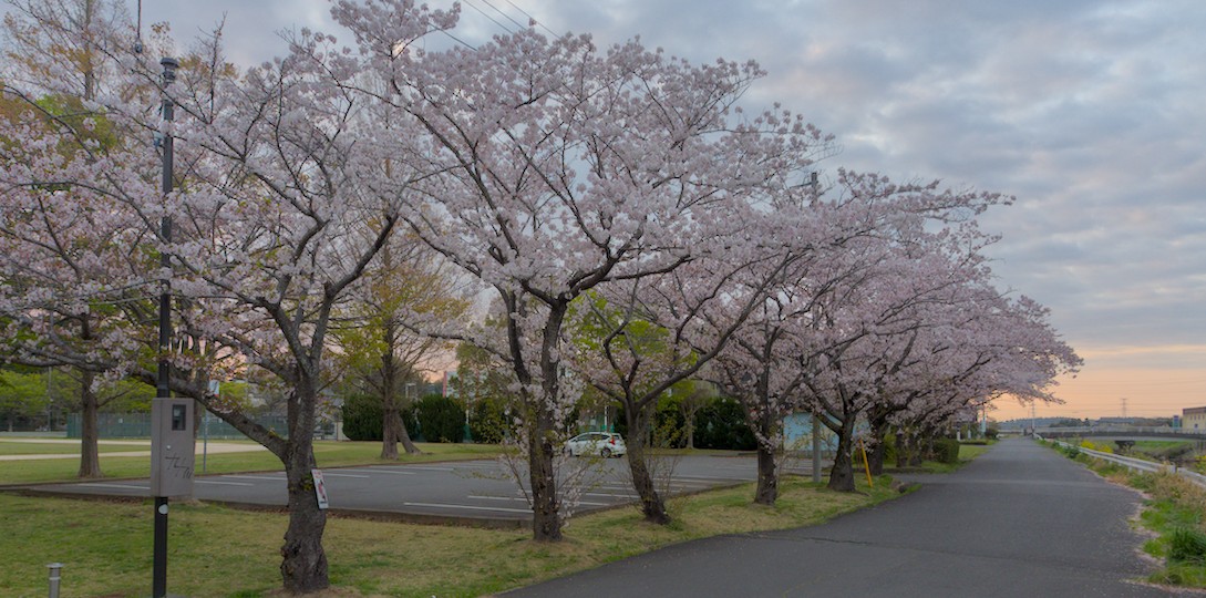 f:id:computer_philosopher:20210418214121j:plain