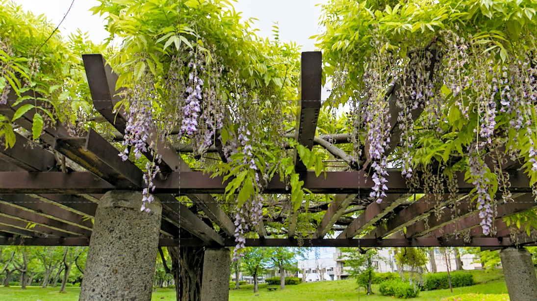 f:id:computer_philosopher:20210507171506j:plain