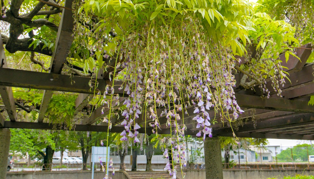 f:id:computer_philosopher:20210507171528j:plain