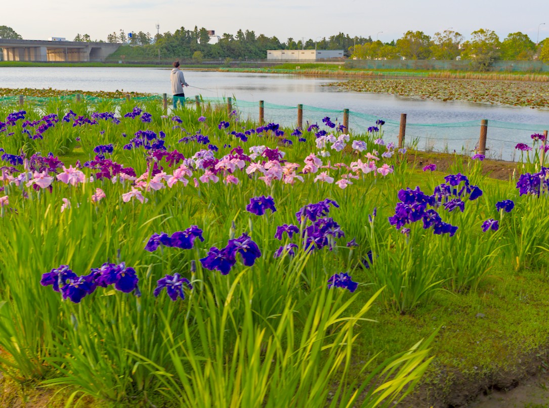 f:id:computer_philosopher:20210517211914j:plain