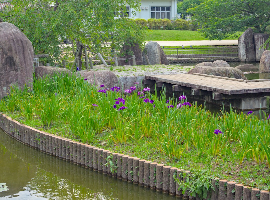 f:id:computer_philosopher:20210527231844j:plain