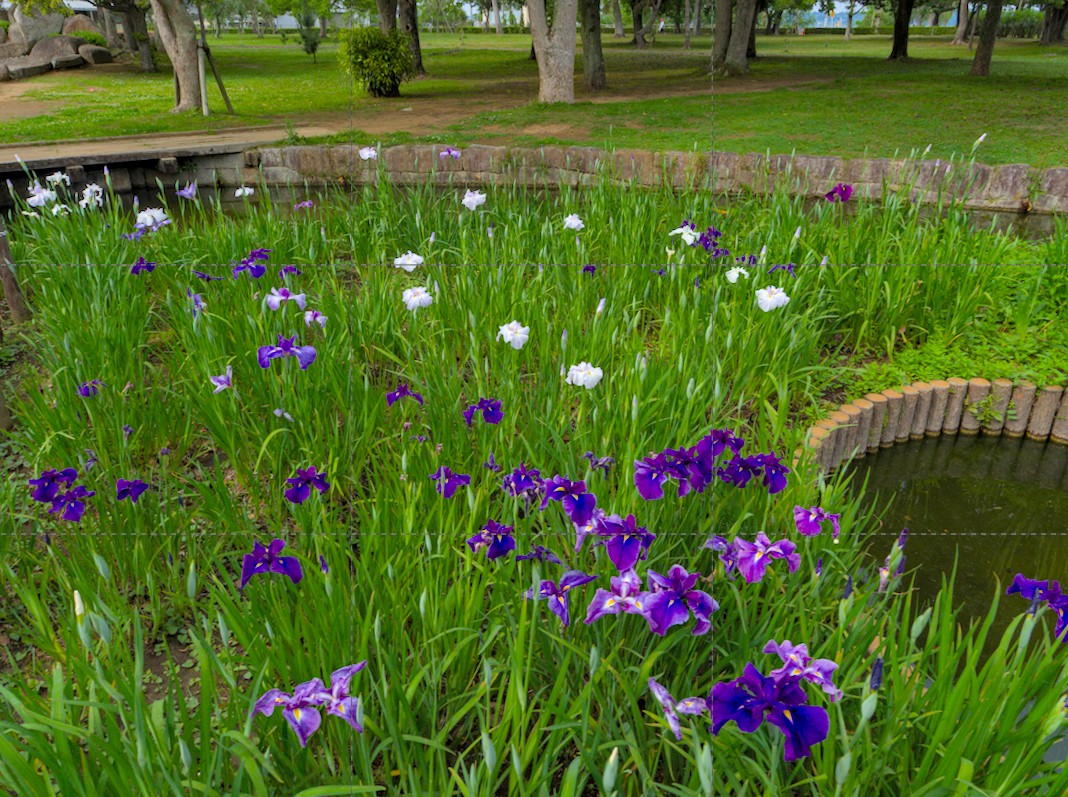 f:id:computer_philosopher:20210527231924j:plain