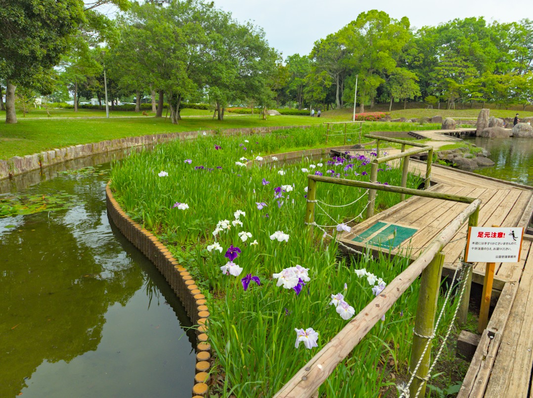 f:id:computer_philosopher:20210527231949j:plain