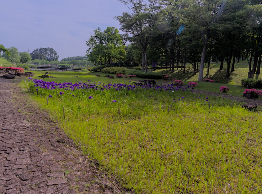 f:id:computer_philosopher:20210530225437j:plain