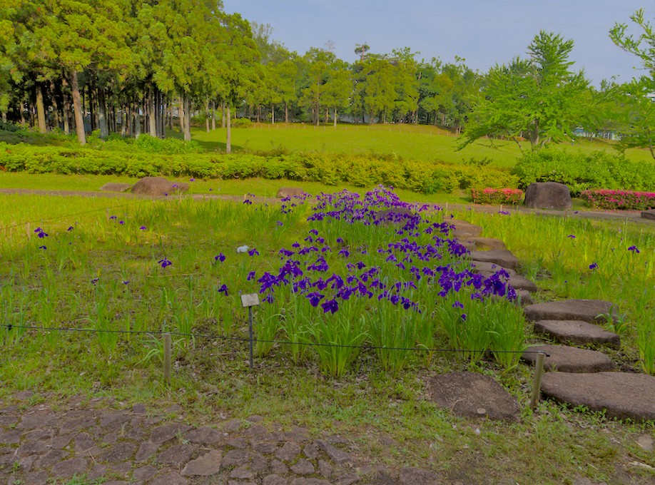 f:id:computer_philosopher:20210530225456j:plain