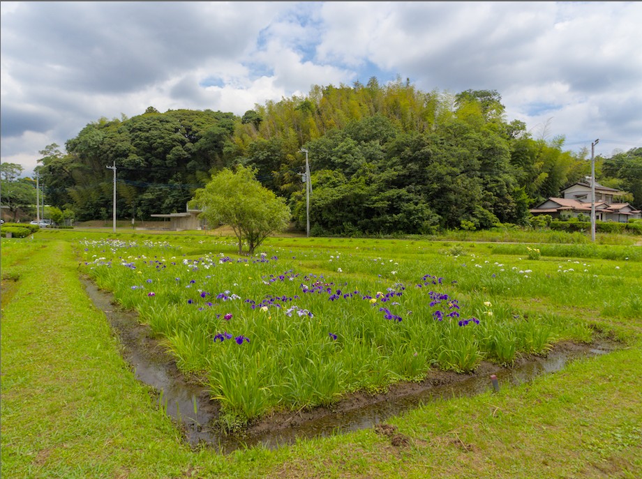 f:id:computer_philosopher:20210531214007j:plain