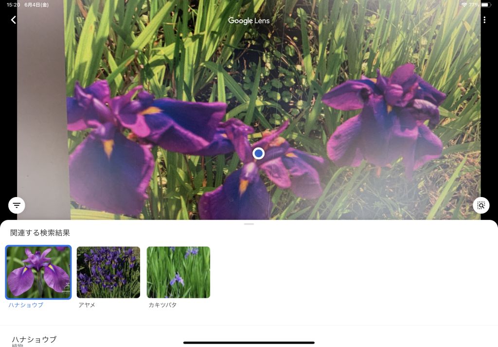 f:id:computer_philosopher:20210604190118j:plain