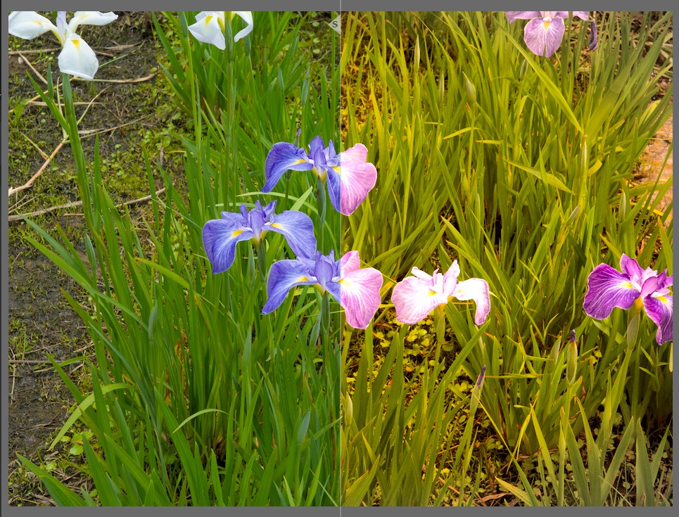 f:id:computer_philosopher:20210609224649j:plain