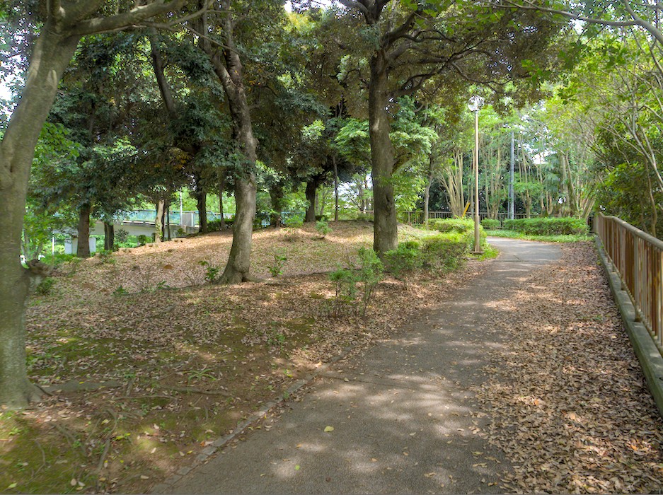 f:id:computer_philosopher:20210612220123j:plain