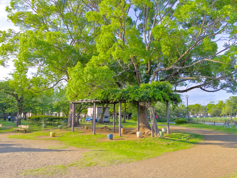 f:id:computer_philosopher:20210613211700j:plain