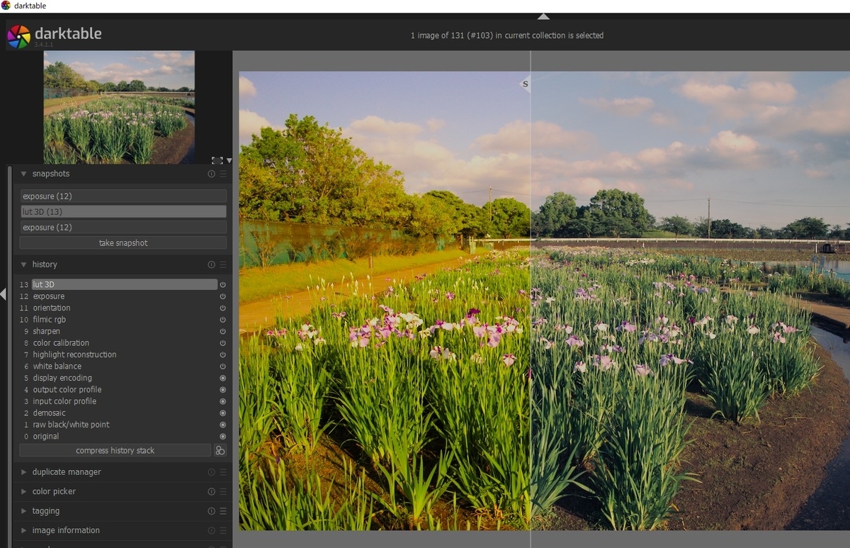 f:id:computer_philosopher:20210614132954j:plain