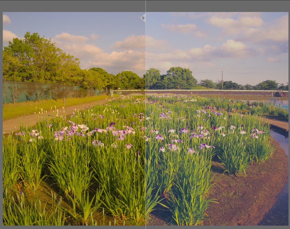 f:id:computer_philosopher:20210616210938j:plain