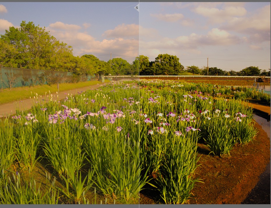 f:id:computer_philosopher:20210616211009j:plain