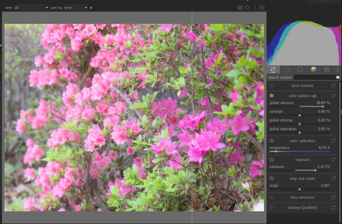 f:id:computer_philosopher:20210719223914j:plain