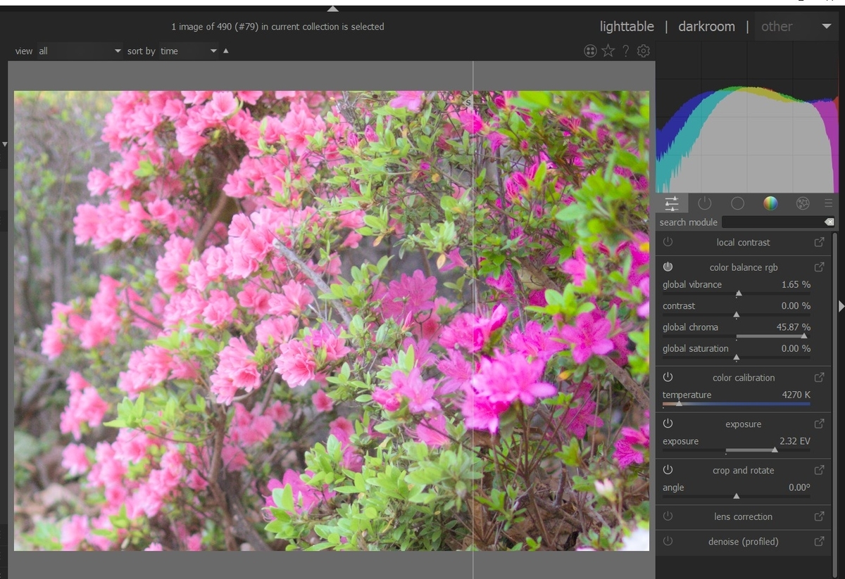 f:id:computer_philosopher:20210719223946j:plain