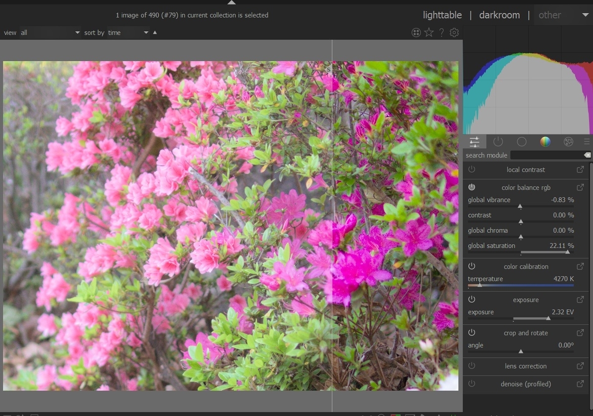 f:id:computer_philosopher:20210719224008j:plain