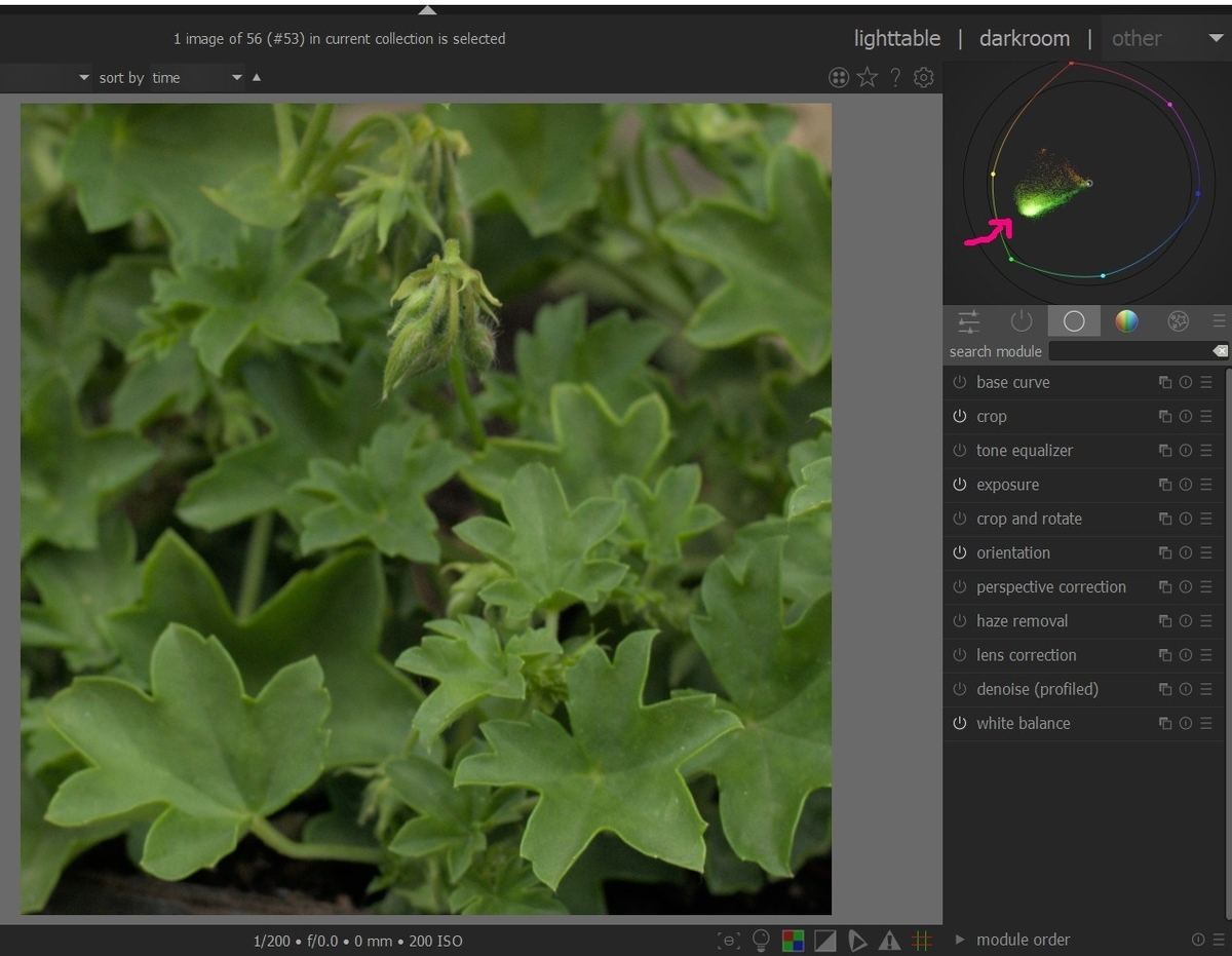 f:id:computer_philosopher:20210725002234j:plain