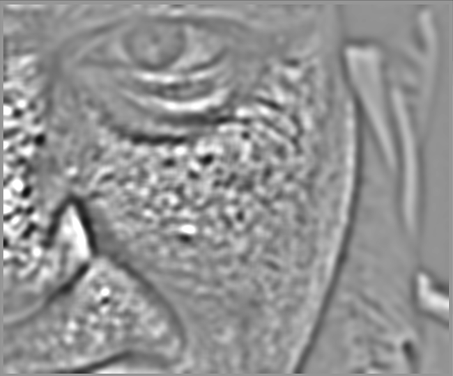 f:id:computer_philosopher:20210730215406p:plain