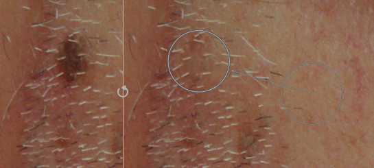 f:id:computer_philosopher:20210802222304j:plain