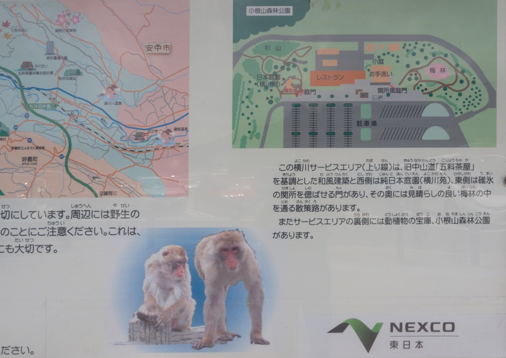 f:id:computer_philosopher:20210809230520j:plain