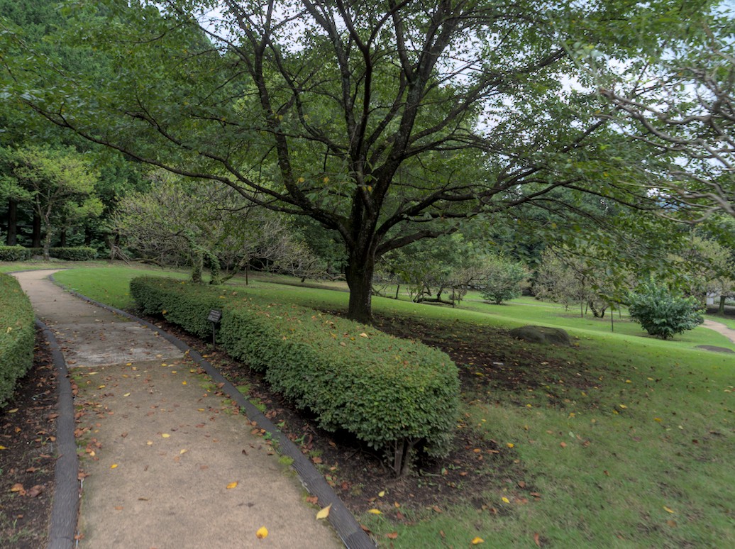 f:id:computer_philosopher:20210809230647j:plain