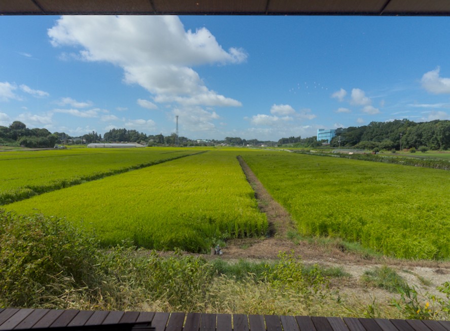 f:id:computer_philosopher:20210818223758j:plain