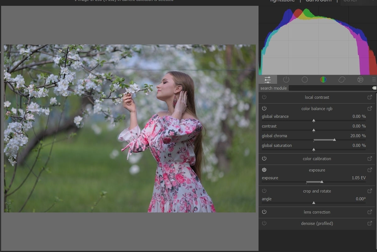 f:id:computer_philosopher:20210823231306j:plain